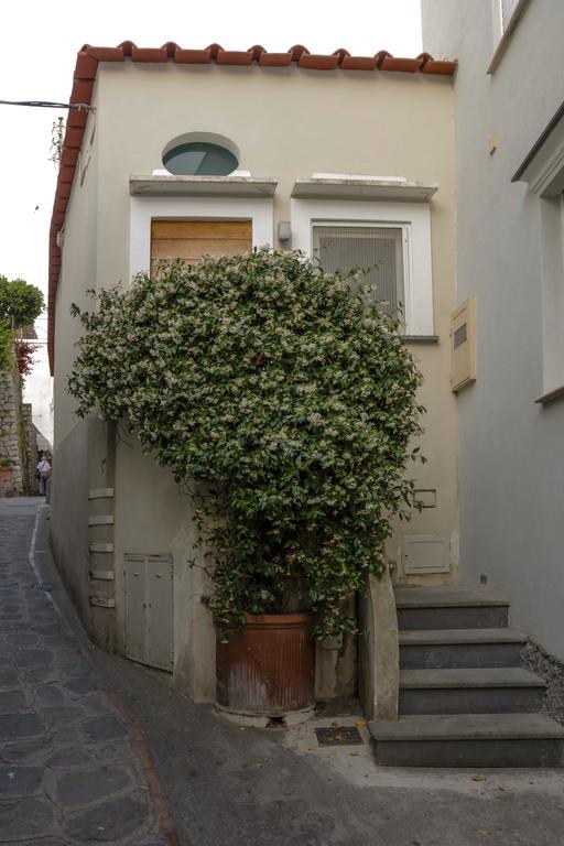 Casa Piccola By Capri 5 Senses Villa Exterior foto